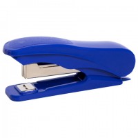  10 STAFF "EVERYDAY",  12 ,  , , 228736 -  