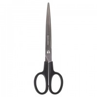  BRAUBERG "Standard" 205 , ,  , 2-  , 237097 -  