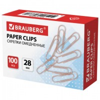  BRAUBERG, 28 , , 100 .,   , 270448 -  