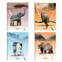 ������� �4, 80 �., BRAUBERG, �������, ������, ��������� ���, WILD, 404052 - ������� ������