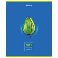   "AVOCADO" 48 .,  , , , , BRAUBERG, 404281 -  