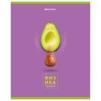   "AVOCADO" 48 .,  , , , BRAUBERG, 404283 -  