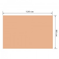   1200800 ,  22,  , 503213 -  