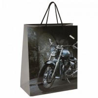 ����� ���������� 26x12,7x32,4 ��, ������� ������ "��������", ��������������, 606589 - ������� ������