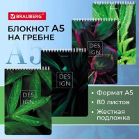 ������� �5 (146�206 ��), 80 �., �������, ������, ������� ��������, ������, BRAUBERG, "��������", 114388 - ������� ������
