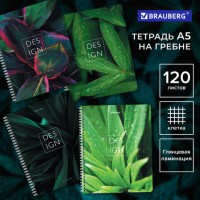 ������� �5 120�. BRAUBERG �������, ������, ��������� ���������, ������ 2, ���_1�, 404448 - ������� ������