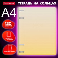 ������� �� ������� ������� 305�235 �� �4, 120 �., �������, � �������������, BRAUBERG, ������, 404624 - ������� ������