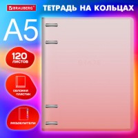    5 175220, 120, ,  , BRAUBERG, , 404630 -  