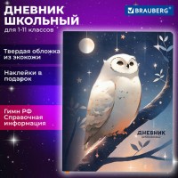 ������� 1-11 ����� 48�, ������ (������� � ���������), ������, ��������, BRAUBERG, ����, 106947 - ������� ������