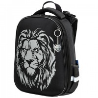 ����� BRAUBERG SHINY, 2 ���������, � �������, "Savage lion", ���������� �������, 38�28�14 ��, 272039 - ������� ������