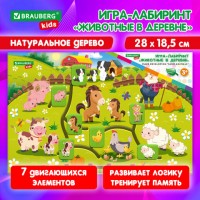 ����-�������� ���������� ����������� "�������� � �������", � ���������, BRAUBERG KIDS, 665264 - ������� ������