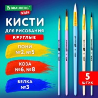����� ����� 5��. (����� ������� � 3; ���� ������� � 6,8; ���� ������� � 2,5), BRAUBER, 201080 - ������� ������