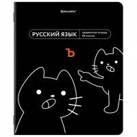    48 ., TWIN-,  , , , BRAUBERG, 405105 -  