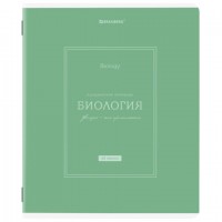   CLASSIC 48 .,  ,  , , , , BRAUBERG, 405138 -  