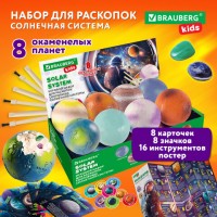     6 -  