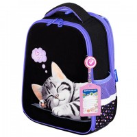 ����� BRAUBERG FIT, 2 ���������, Sleeping kitten, ��������� ������, 38�27�14 ��, 273107 - ������� ������