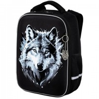����� BRAUBERG LIGHT, 1 ���������, � �������, Gray wolf, 36�26�13 ��, 273111 - ������� ������