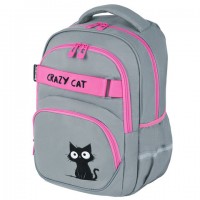 ������ BRAUBERG MOTION, 2 ���������, 3 �������, Crazy cat, 41�28�17 ��, 273115 - ������� ������