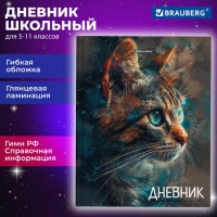 ������� 5-11 ����� 48 �., ������ �������, BRAUBERG, ��������� ���������, � ���������, Cat, 107181 - ������� ������