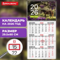   2026, 1  1  ,  , BRAUBERG,   2, 116748 -  