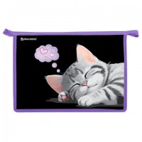      BRAUBERG 4, 2 , , Sleeping kitten, 273401 -  