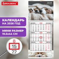   2026, 1  1  , , , BRAUBERG,  , 116848 -  