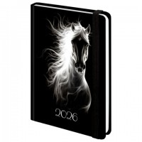   2026   145203, 5, BRAUBERG, , " ", 117335 -  