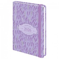   2026   145203, 5, BRAUBERG , , "", 117344 -  