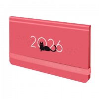   2026   17193, BRAUBERG, , -, 64., " ", 117349 -  