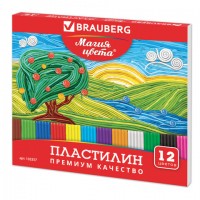   BRAUBERG " ", 12 , 240 ,  ,  ,  , 103357 -  