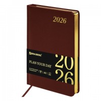 ���������� ������������ 2026 �5 138x213�� BRAUBERG Iguana, ��� ����, ����������, 117057 - ������� ������