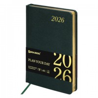 ���������� ������������ 2026 �5 138x213�� BRAUBERG Iguana, ��� ����, �����-�������, 117058 - ������� ������