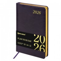 ���������� ������������ 2026 �5 138x213�� BRAUBERG Iguana, ��� ����, �����-����������, 117059 - ������� ������