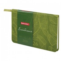   2026   95155 6 BRAUBERG Foliage,  , , 117198 -  