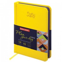   2026   100150 6, BRAUBERG Rainbow,  , , 117258 -  