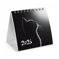 -   , 2026, BRAUBERG, 101101,  , 117281 -  