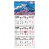   2026, 3  3  ,  , BRAUBERG,  , 116794 -  