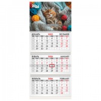   2026, 3  3  ,  , BRAUBERG, , 116805 -  