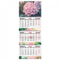   2026, 3  3  ,  , BRAUBERG EXTRA, , 116826 -  