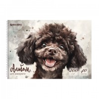 ������ ��� �������� �4 40�., ������ 200 �/�, �������, ������� ��������, BRAUBERG, ������ 1, 116885 - ������� ������