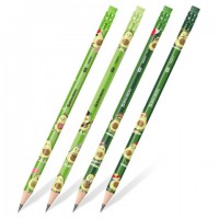   BRAUBERG "AVOCADO", 1 , HB,  ,  , 182015 -  