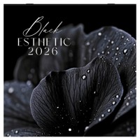 ��������� ��������� ���������� 2026�, BRAUBERG, 12 ������, 28,5�28,5��, Black esthetic, 116927 - ������� ������