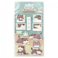 �������� �������� BRAUBERG CUTE CATS, ������������, 10*15 ��, 666054 - ������� ������