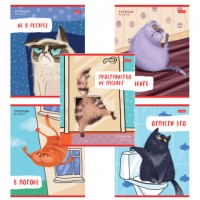 ������� �5 48 �., HATBER �����, �����, ������� ������, "���-�������" (���� � ������), 080206, 48�5�2 - ������� ������