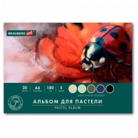 ������ ��� ������� �4, 20 ������ 5 ������, 180��/�2, �������, BRAUBERG ART CLASSIC, 116343 - ������� ������