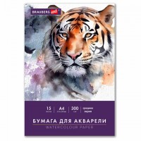 ������ ��� �������� �4 � �����, 15 ������, 300 �/�2, ������� �����, BRAUBERG ART CLASSIC, 116353 - ������� ������