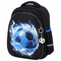 ����� BRAUBERG STABLE, 2 ���������, � �������, "Blue ball", 36�28�16 ��, 274390 - ������� ������