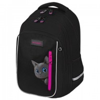 ������ BRAUBERG INTENT, 2 ���������, 4 �������, "Peering cat", 39�27�14 ��, 274396 - ������� ������