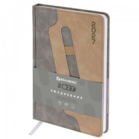 ���������� ������������ 2027, �5, 138x213 ��, BRAUBERG "Assistant", ��� ����, ���������, �����, 117866 - ������� ������