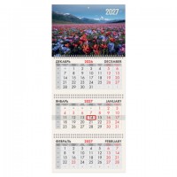��������� ����������� 2027�, 3 ����� 3 ������, �������, ���������� ������, BRAUBERG, "������ �����", 118290 - ������� ������